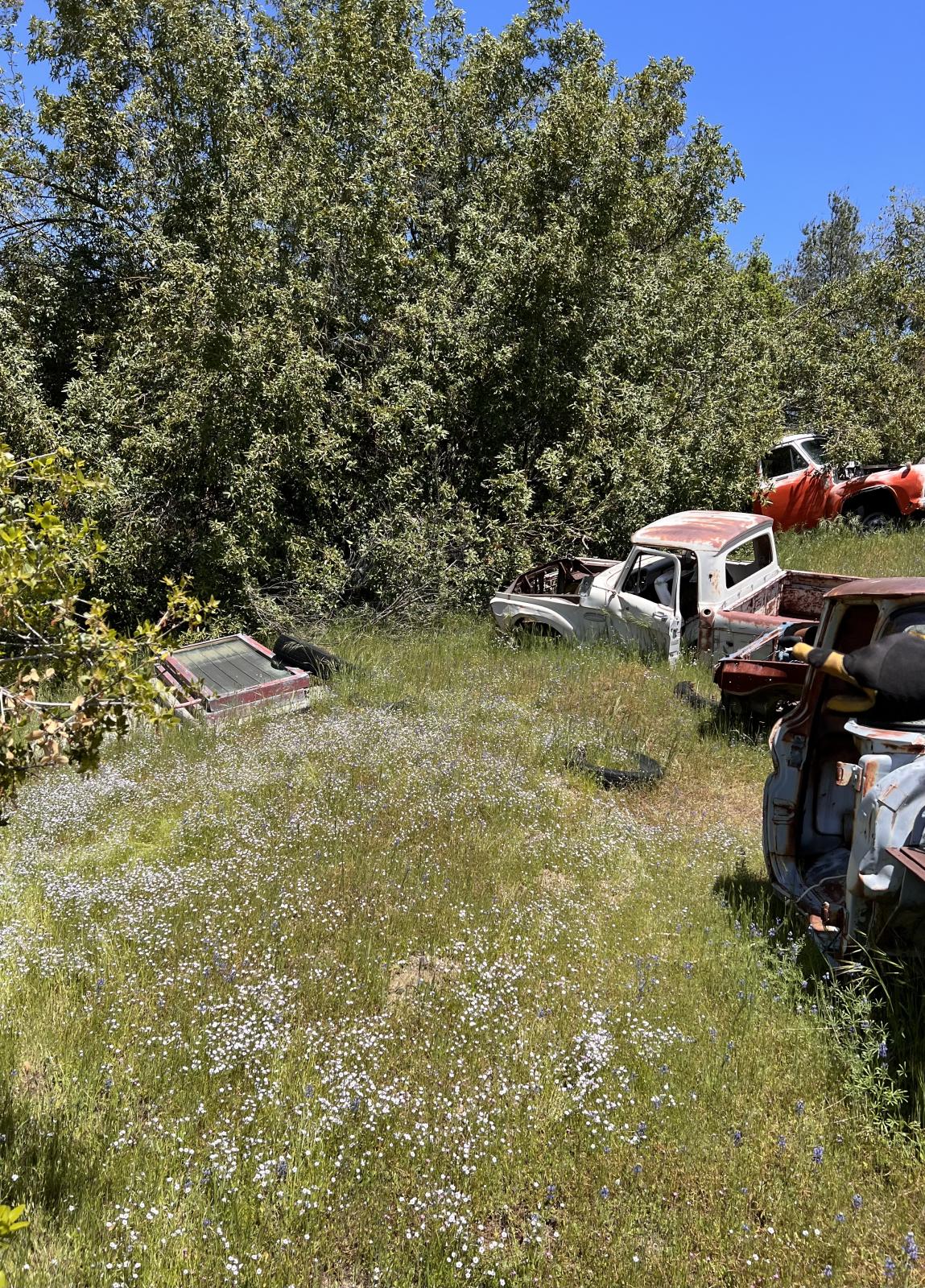 Image may have been reduced in size. Click image to view fullscreen.