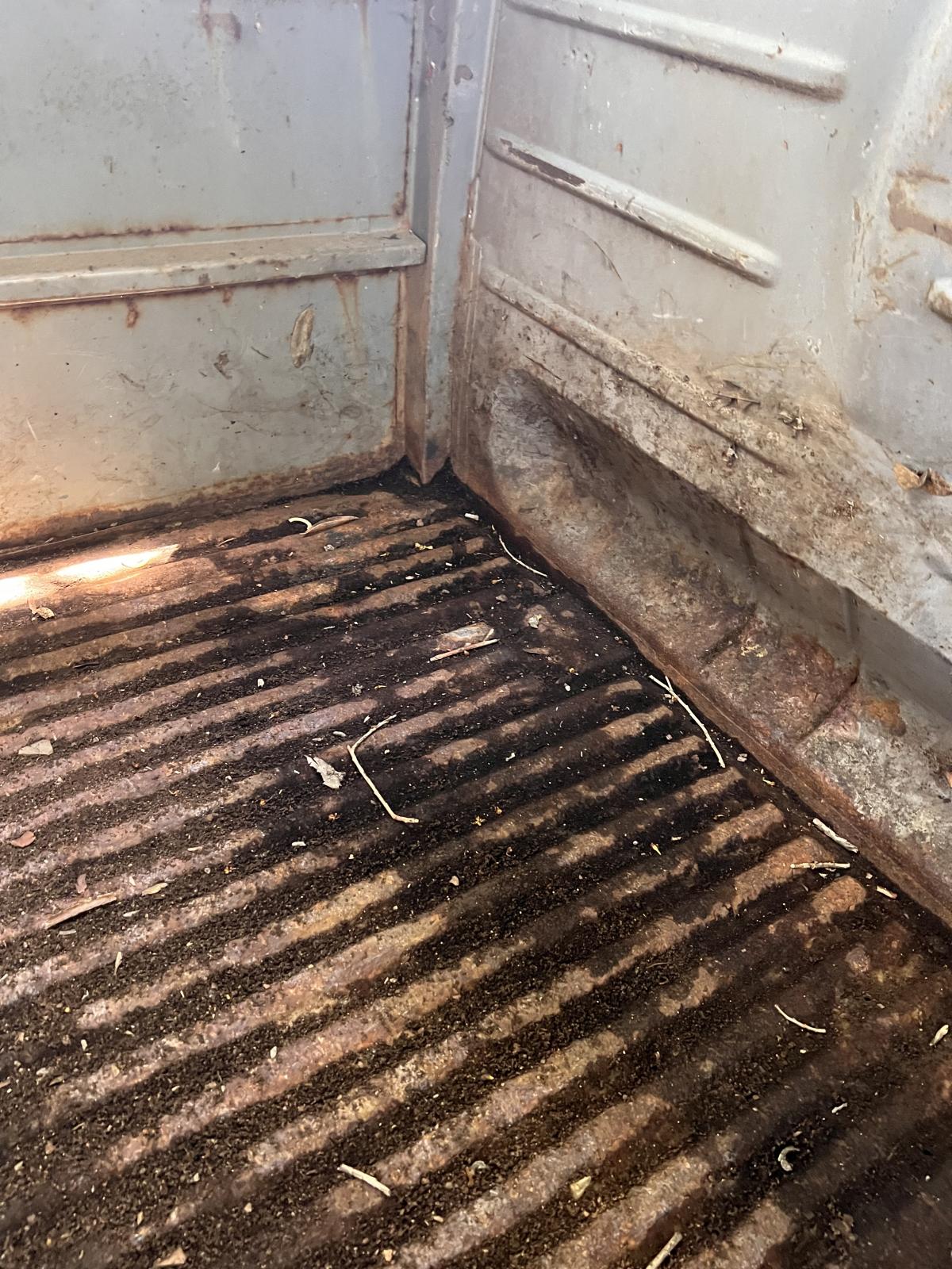 Image may have been reduced in size. Click image to view fullscreen.
