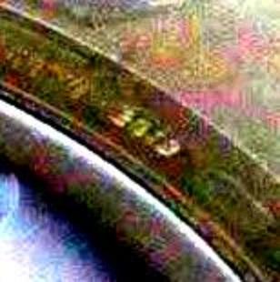 Image may have been reduced in size. Click image to view fullscreen.