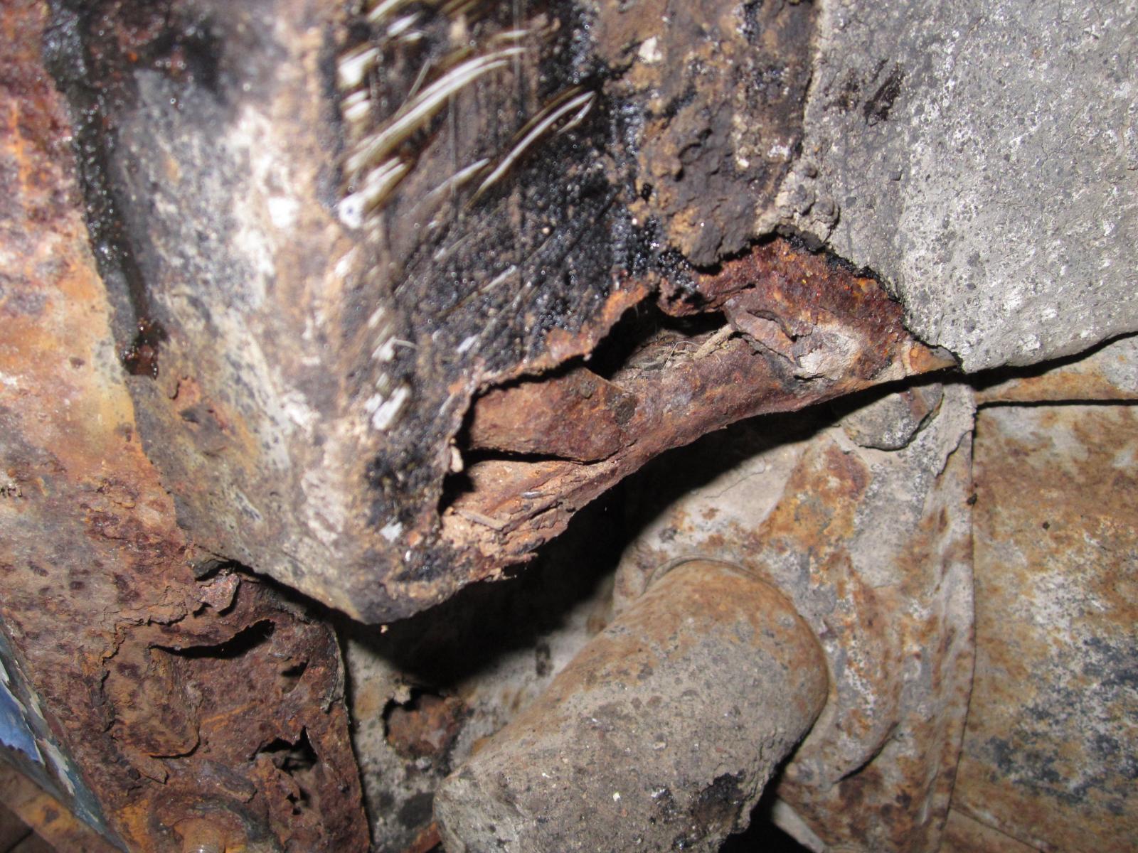 Image may have been reduced in size. Click image to view fullscreen.