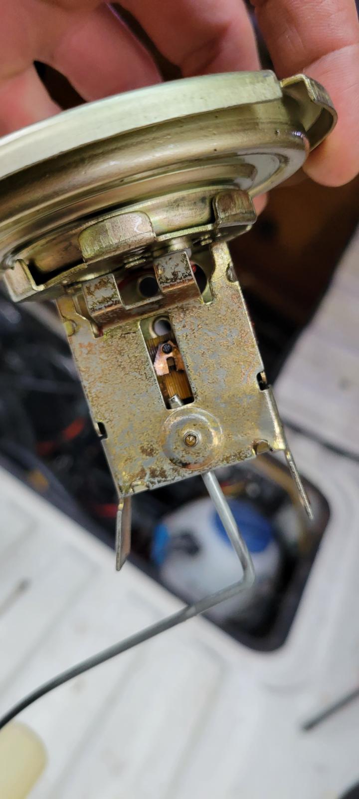 Image may have been reduced in size. Click image to view fullscreen.