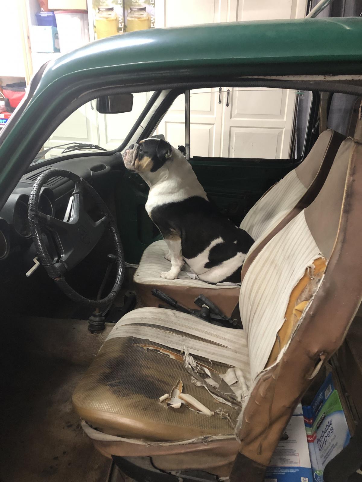 Image may have been reduced in size. Click image to view fullscreen.