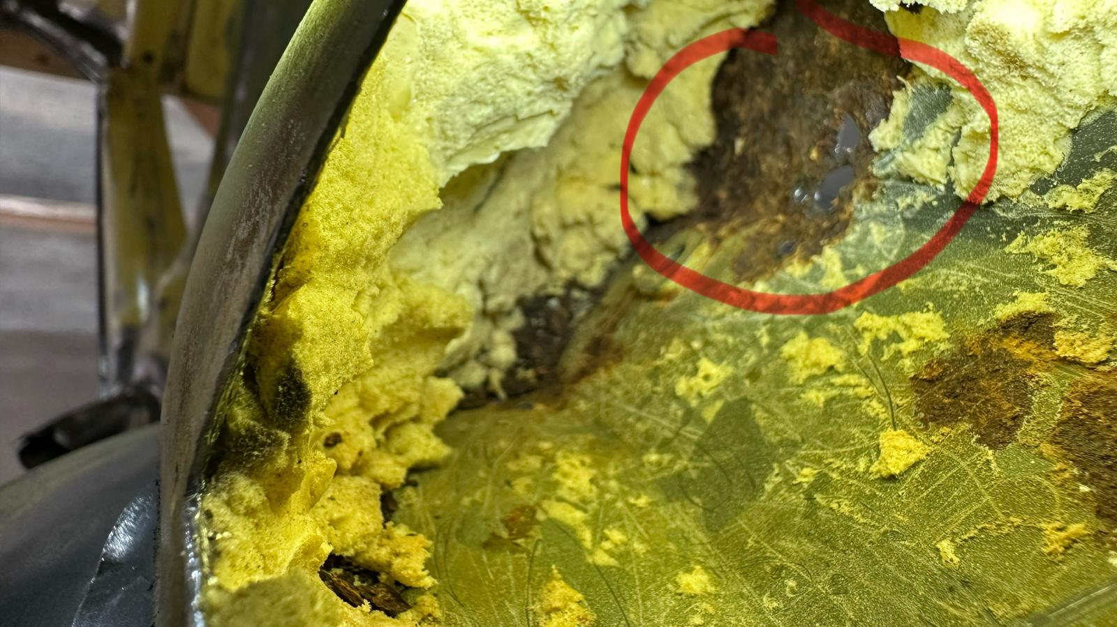 Image may have been reduced in size. Click image to view fullscreen.