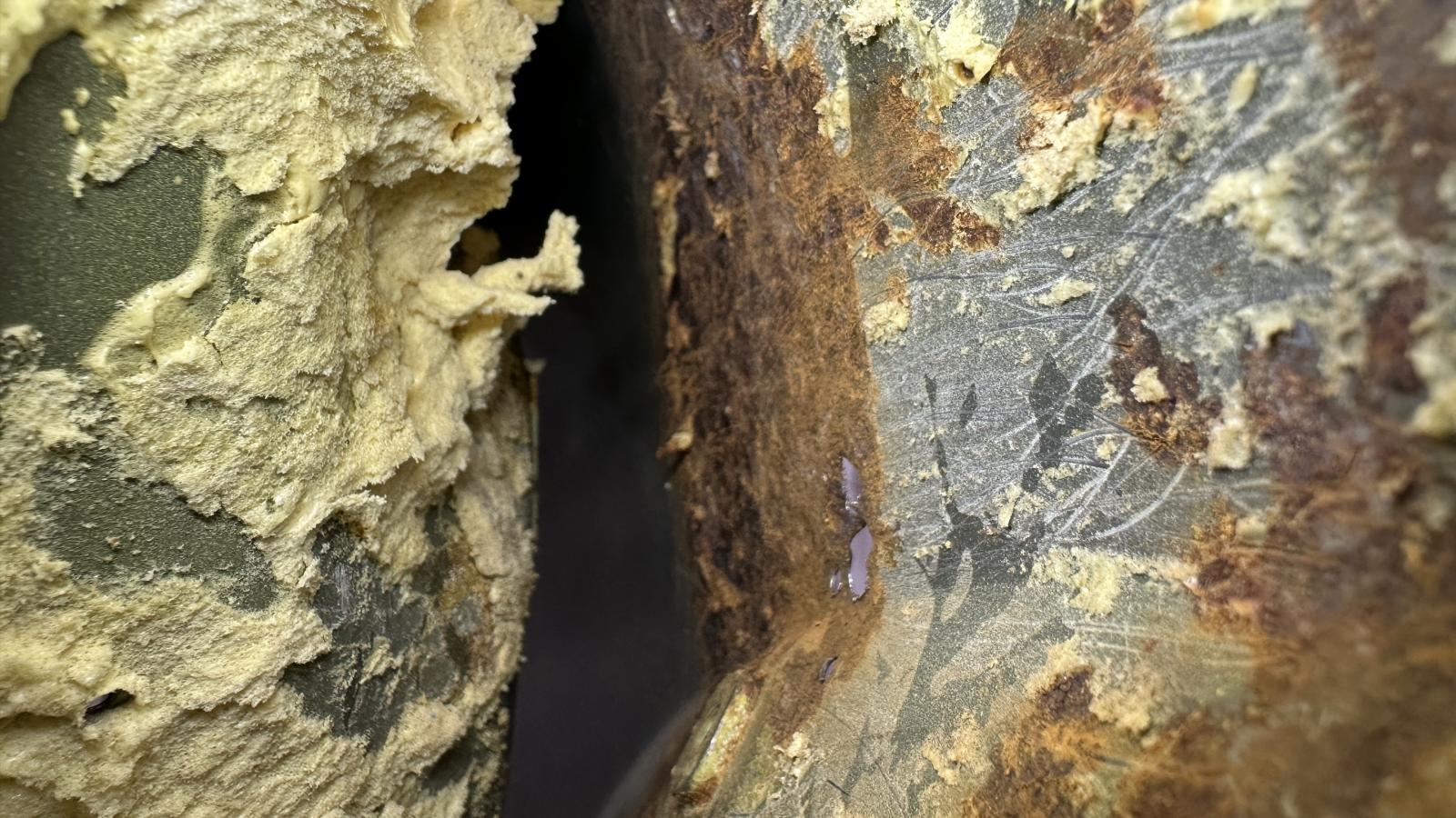 Image may have been reduced in size. Click image to view fullscreen.