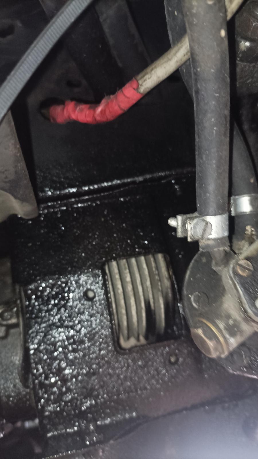 Image may have been reduced in size. Click image to view fullscreen.