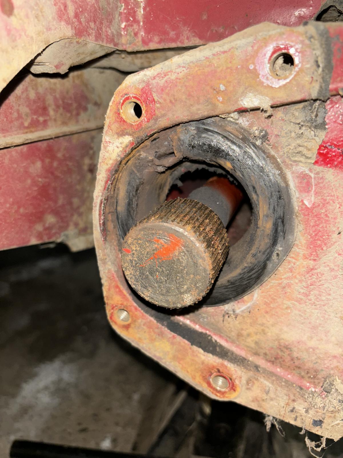 Image may have been reduced in size. Click image to view fullscreen.