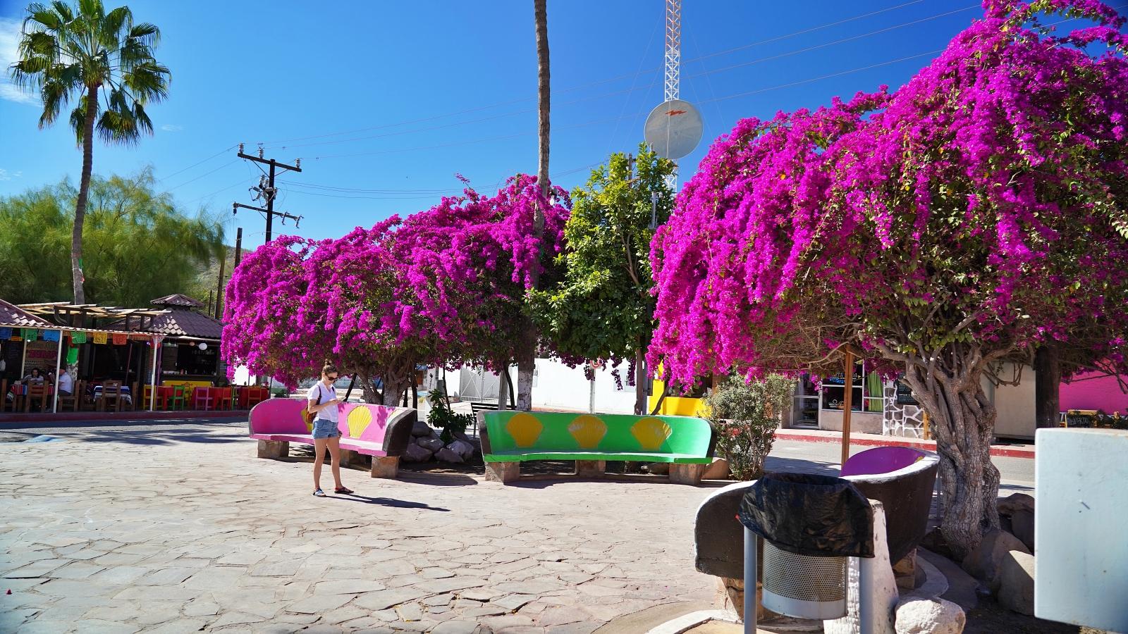 Image may have been reduced in size. Click image to view fullscreen.