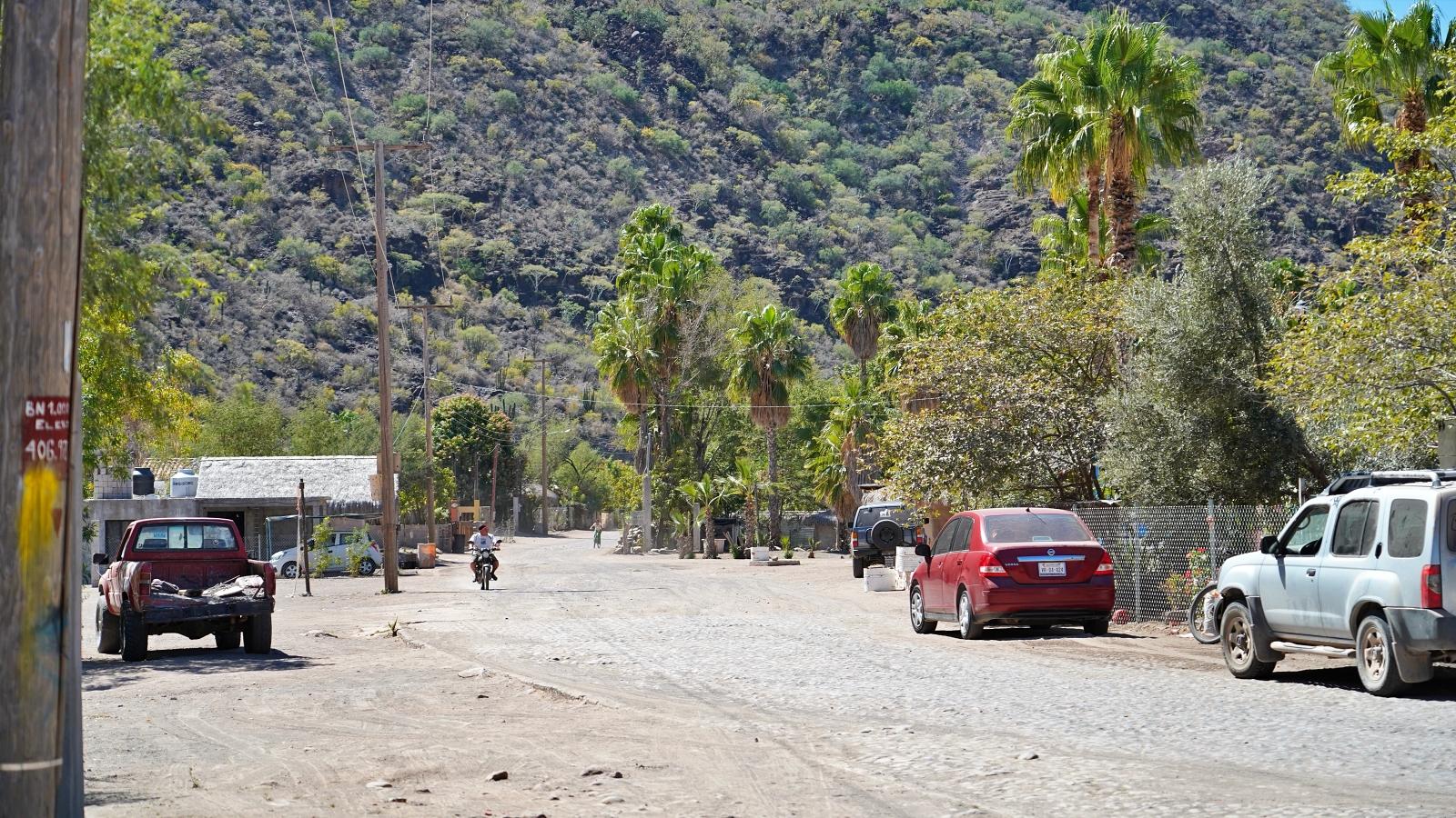 Image may have been reduced in size. Click image to view fullscreen.