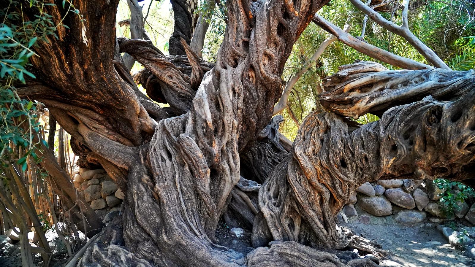 Image may have been reduced in size. Click image to view fullscreen.