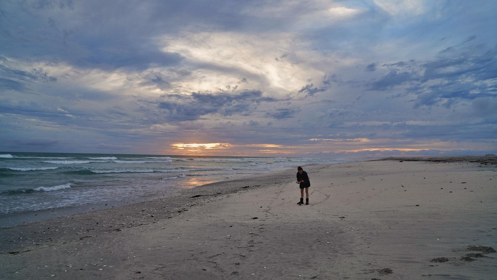 Image may have been reduced in size. Click image to view fullscreen.