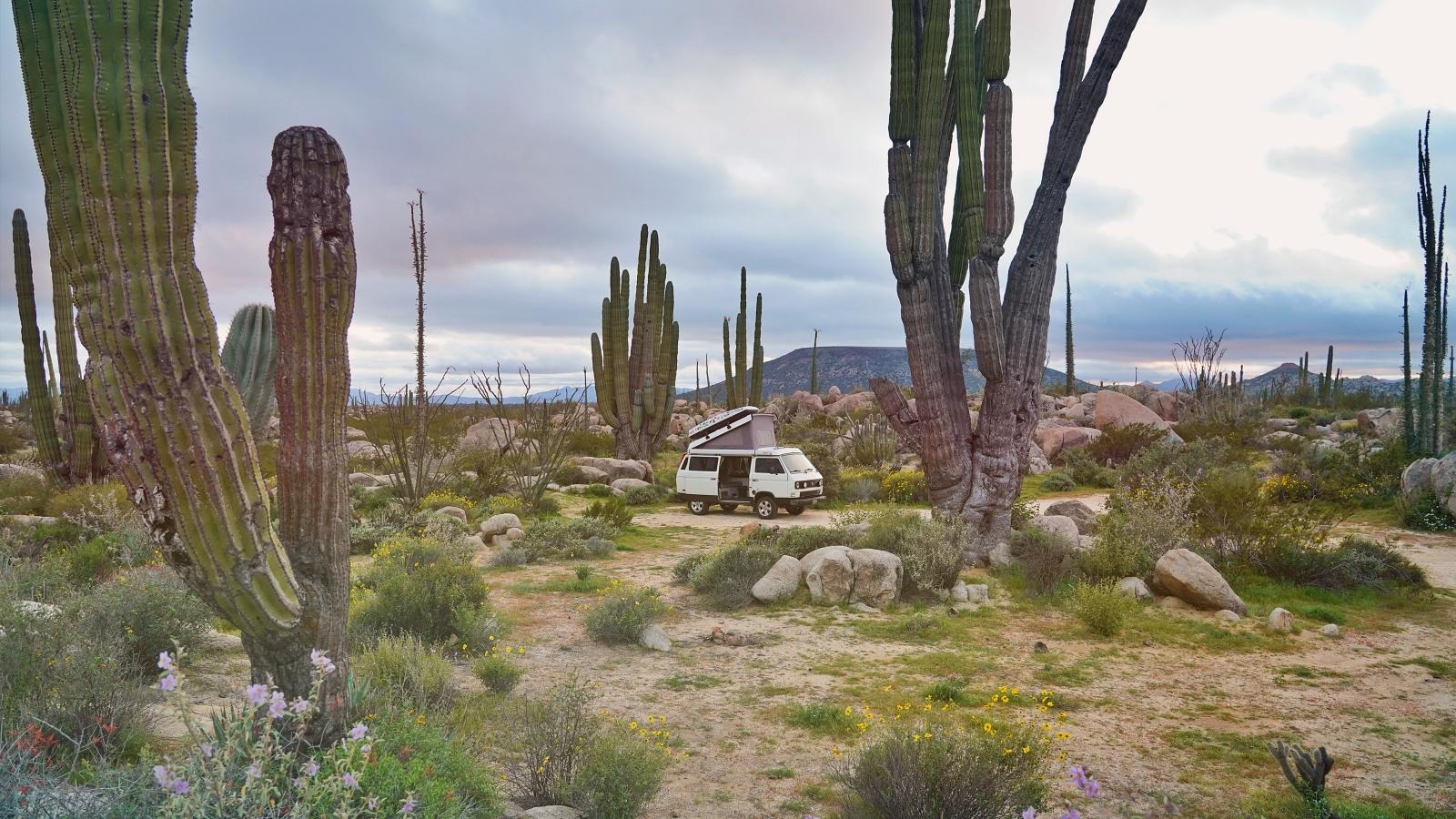 Image may have been reduced in size. Click image to view fullscreen.