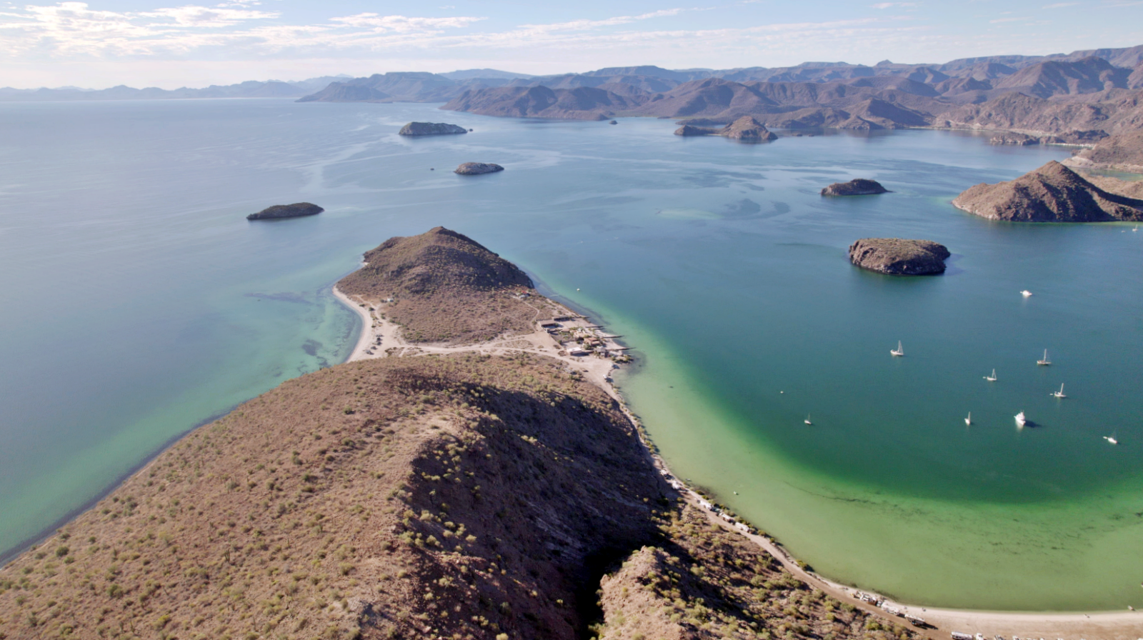 Image may have been reduced in size. Click image to view fullscreen.