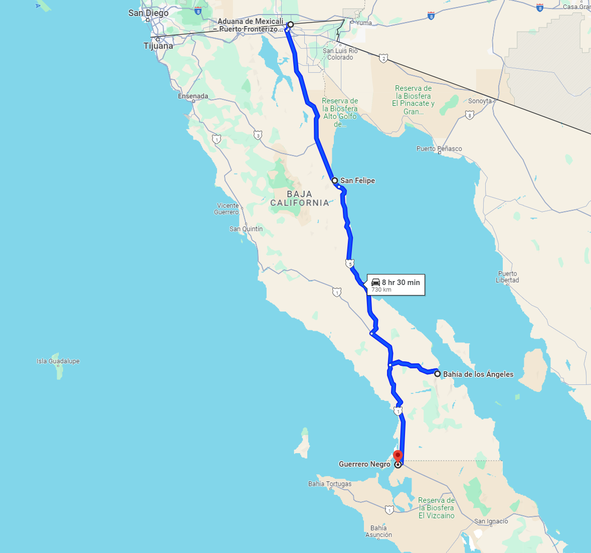 Image may have been reduced in size. Click image to view fullscreen.