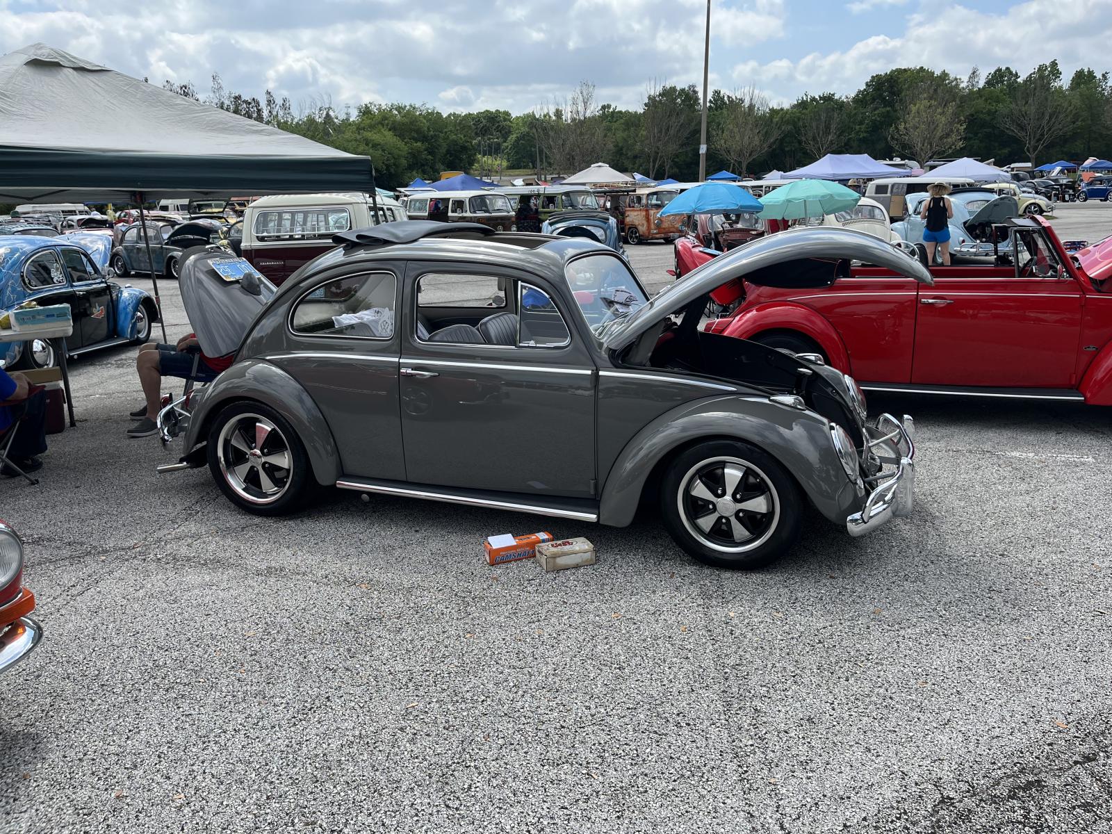 Gallery Lakeland VW Classic 2024