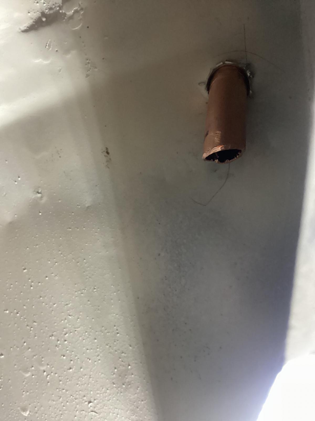 Image may have been reduced in size. Click image to view fullscreen.