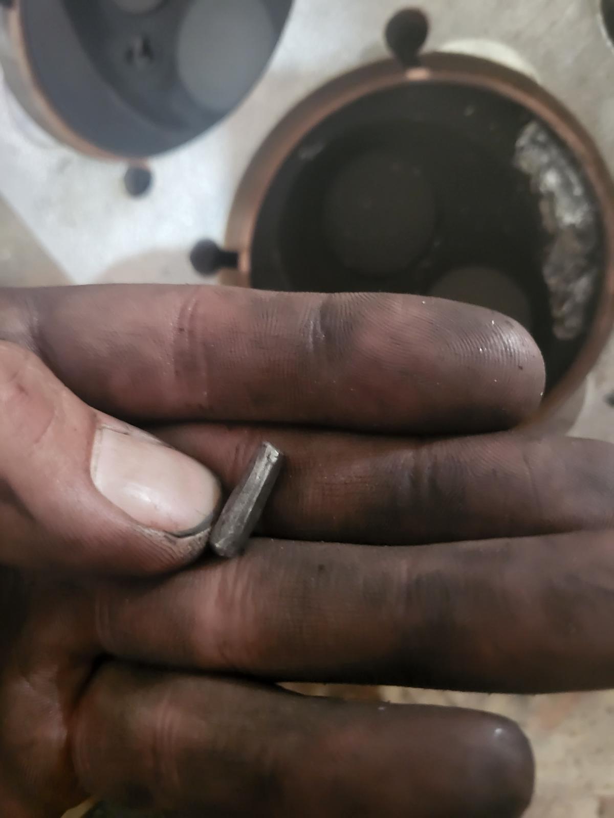 Image may have been reduced in size. Click image to view fullscreen.