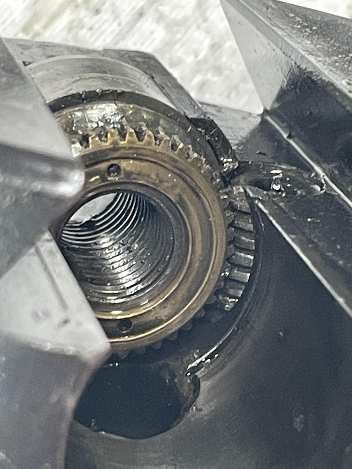 Image may have been reduced in size. Click image to view fullscreen.