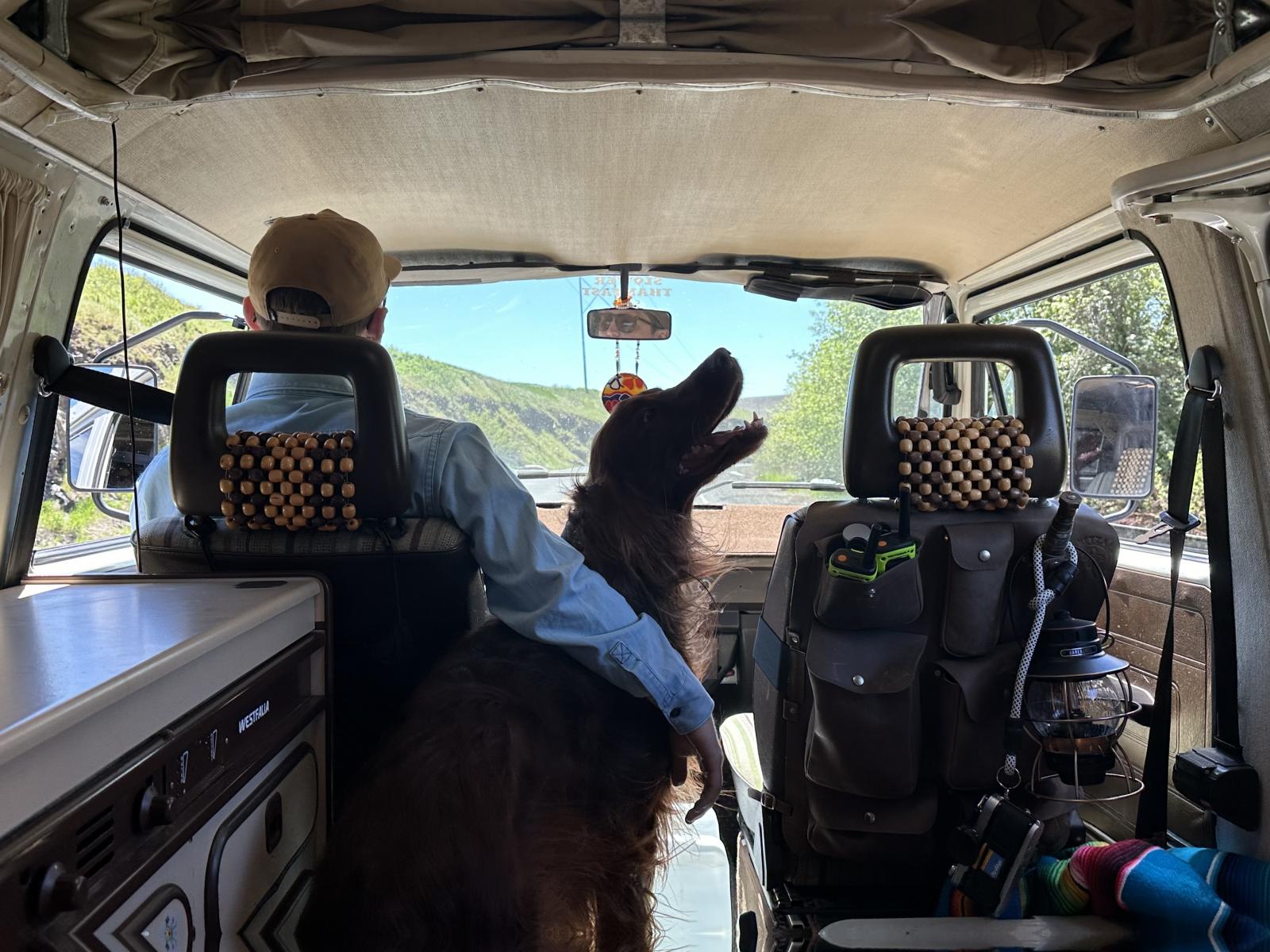 Image may have been reduced in size. Click image to view fullscreen.