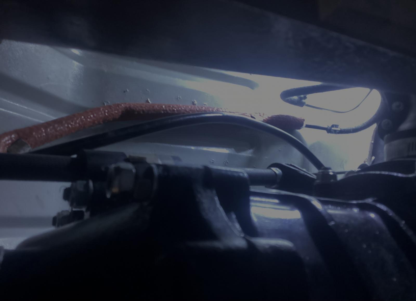 Image may have been reduced in size. Click image to view fullscreen.