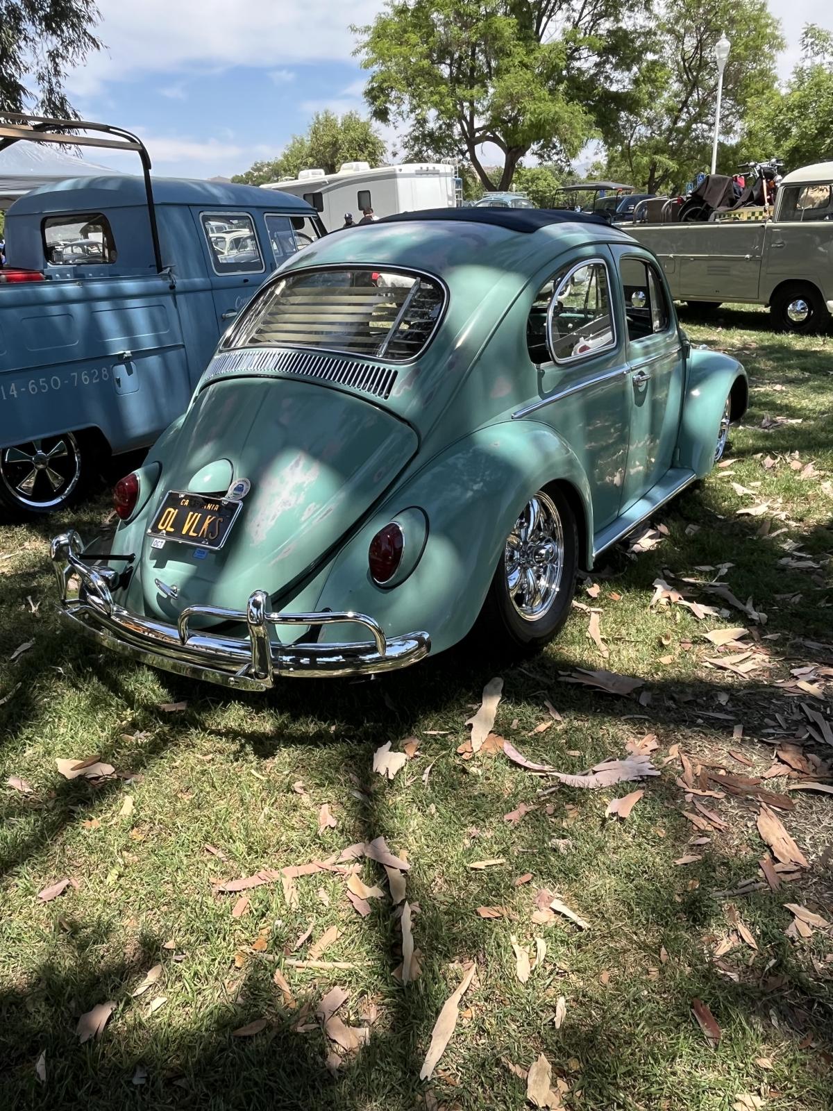 Image may have been reduced in size. Click image to view fullscreen.