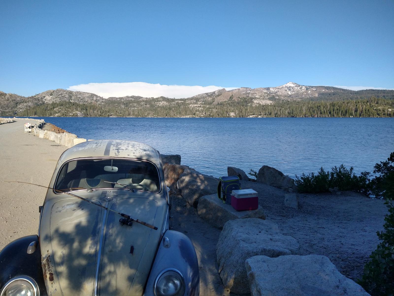 Image may have been reduced in size. Click image to view fullscreen.