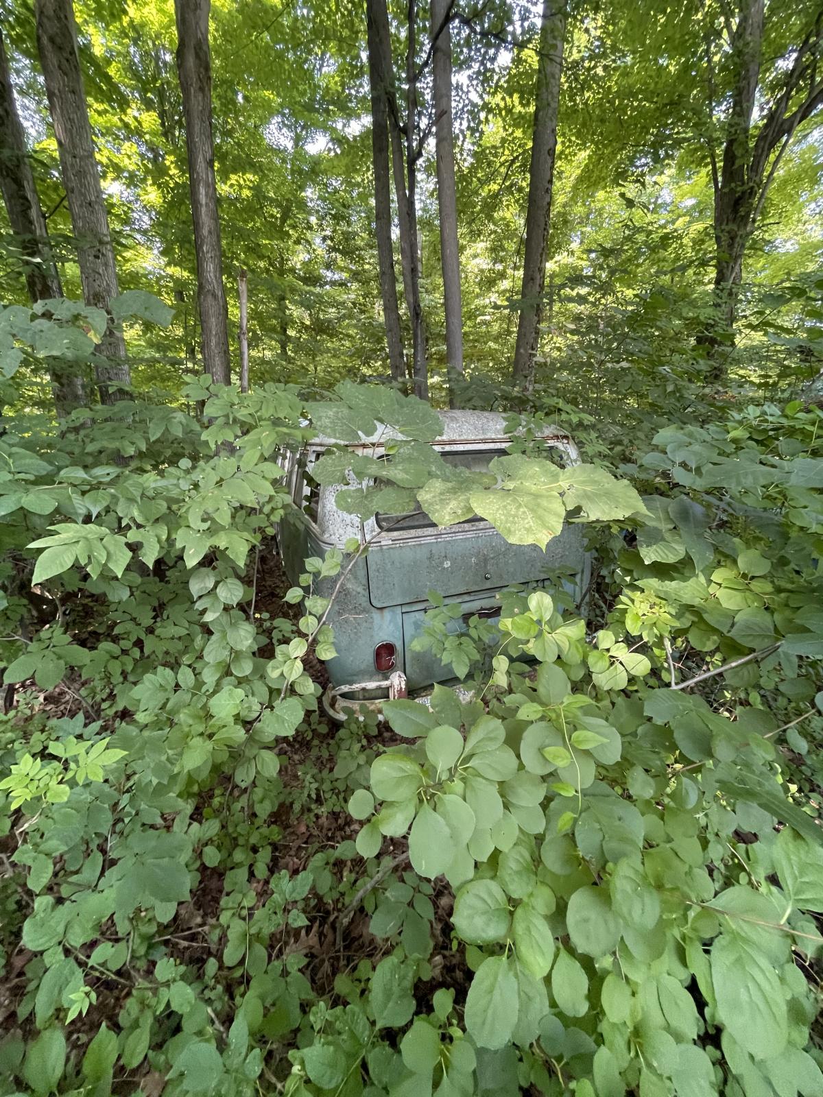 Image may have been reduced in size. Click image to view fullscreen.