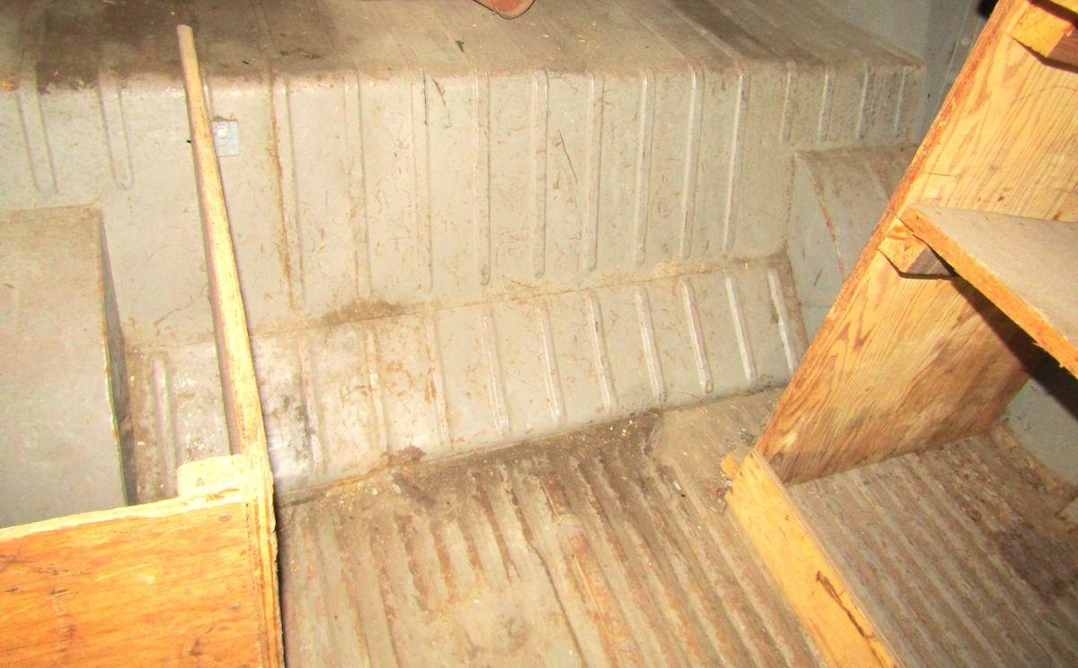 Image may have been reduced in size. Click image to view fullscreen.