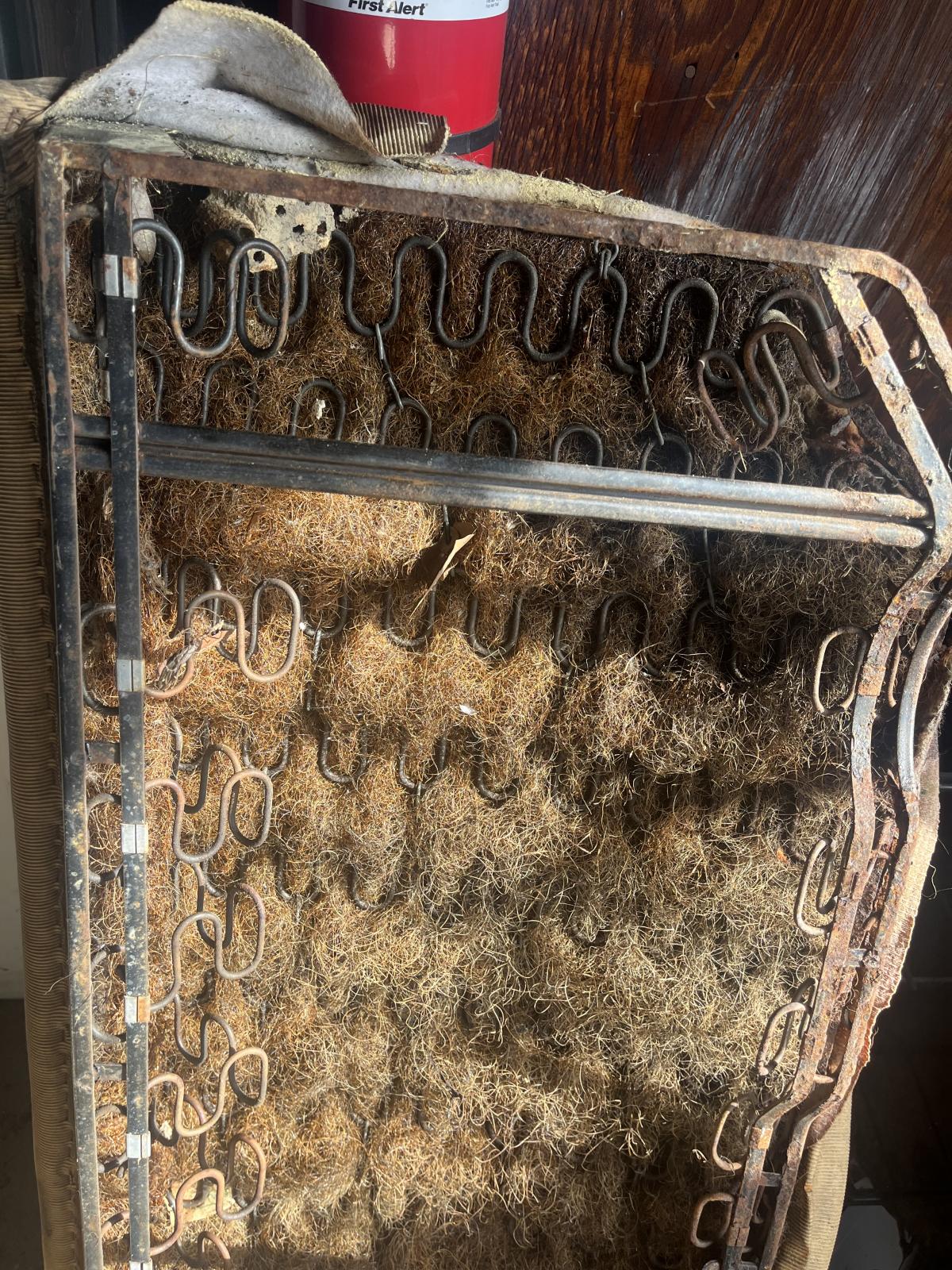 Image may have been reduced in size. Click image to view fullscreen.
