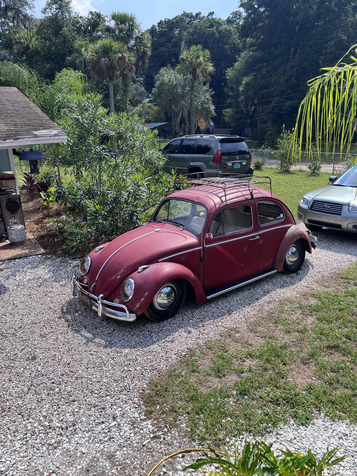 Image may have been reduced in size. Click image to view fullscreen.