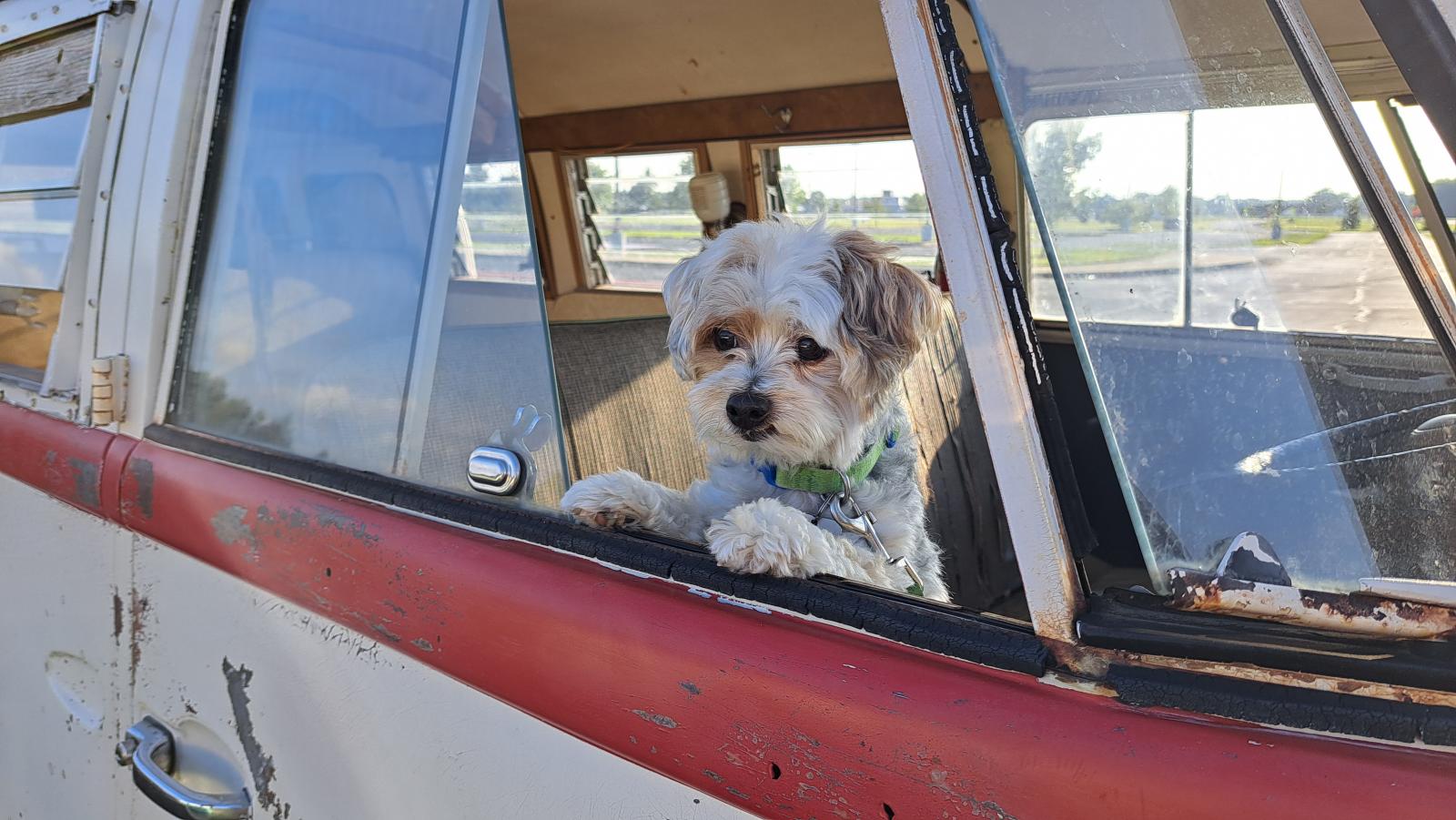 Image may have been reduced in size. Click image to view fullscreen.