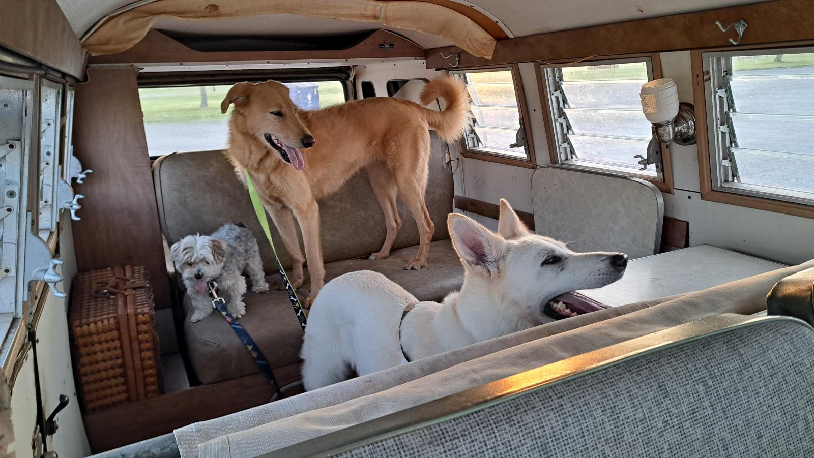 Image may have been reduced in size. Click image to view fullscreen.