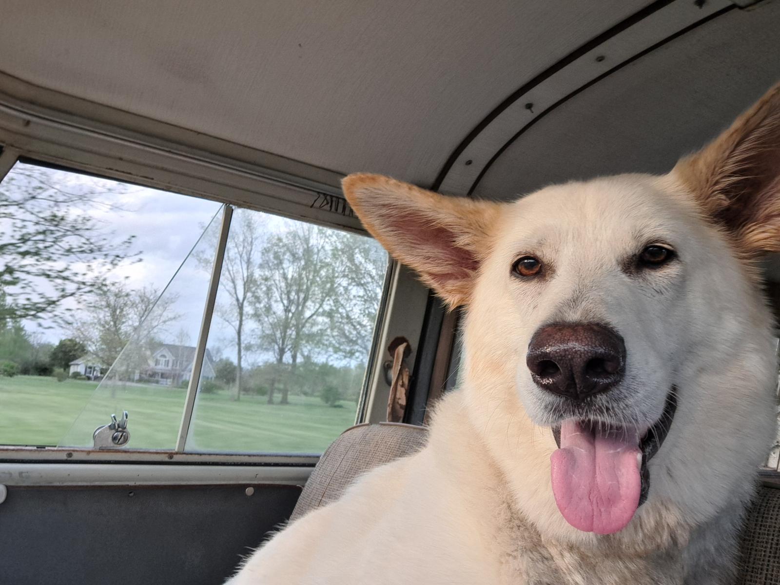 Image may have been reduced in size. Click image to view fullscreen.