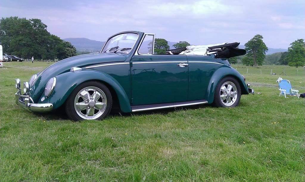 Image may have been reduced in size. Click image to view fullscreen.