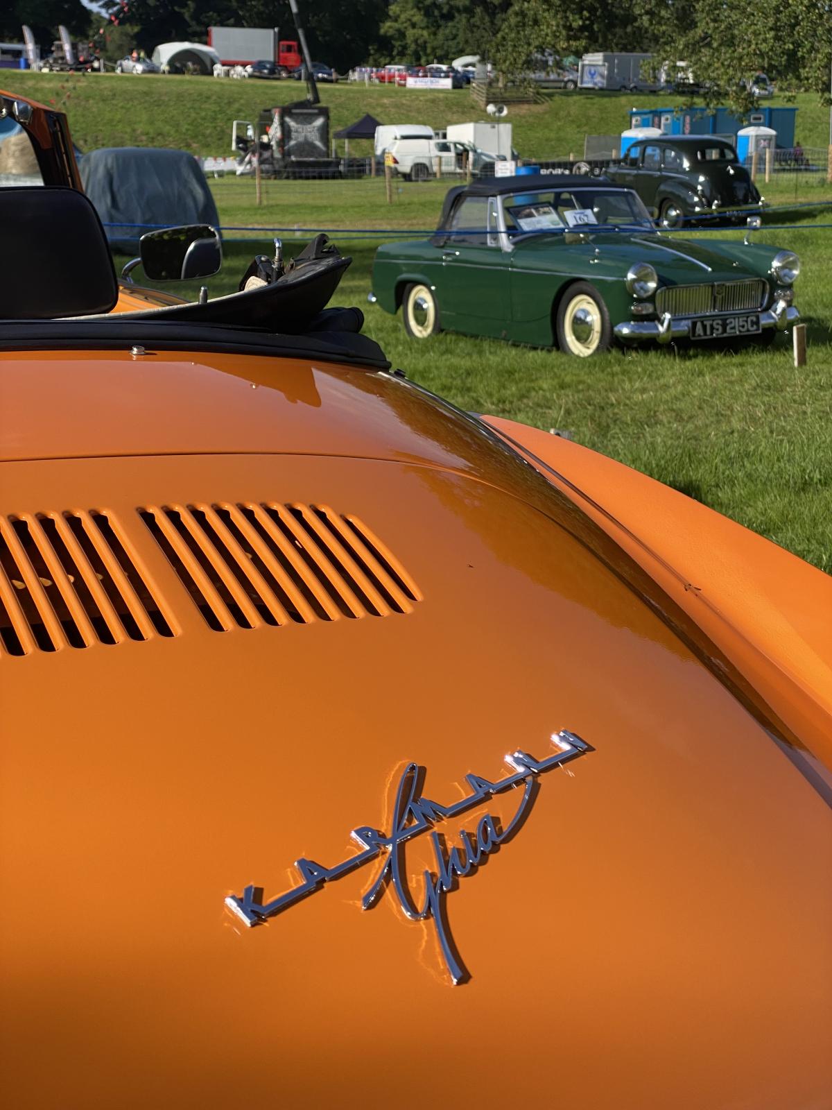 Image may have been reduced in size. Click image to view fullscreen.