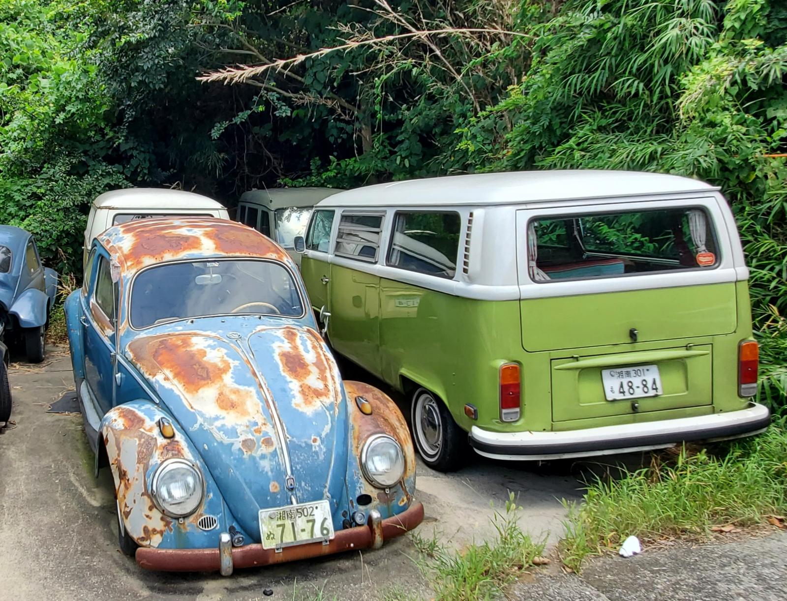 Image may have been reduced in size. Click image to view fullscreen.