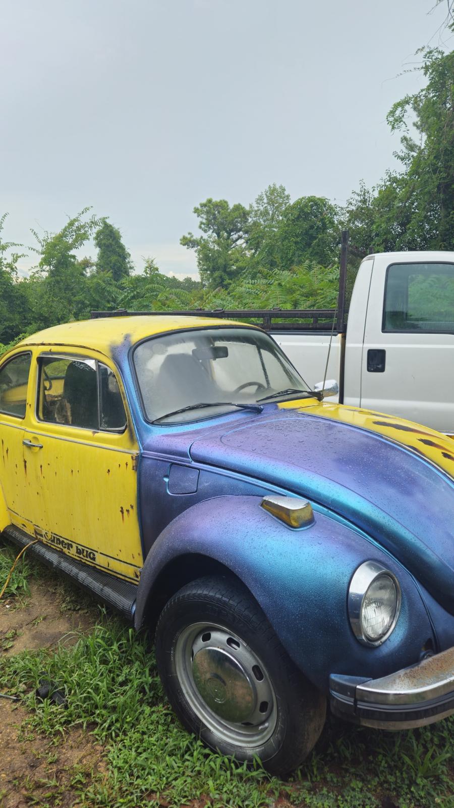 Image may have been reduced in size. Click image to view fullscreen.