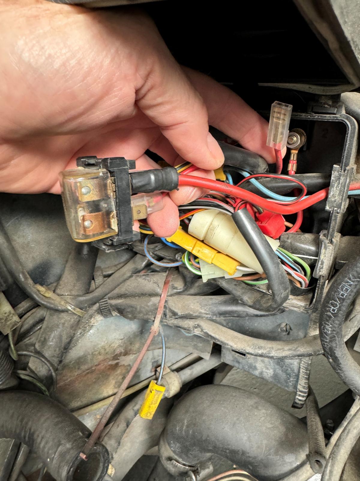 Image may have been reduced in size. Click image to view fullscreen.