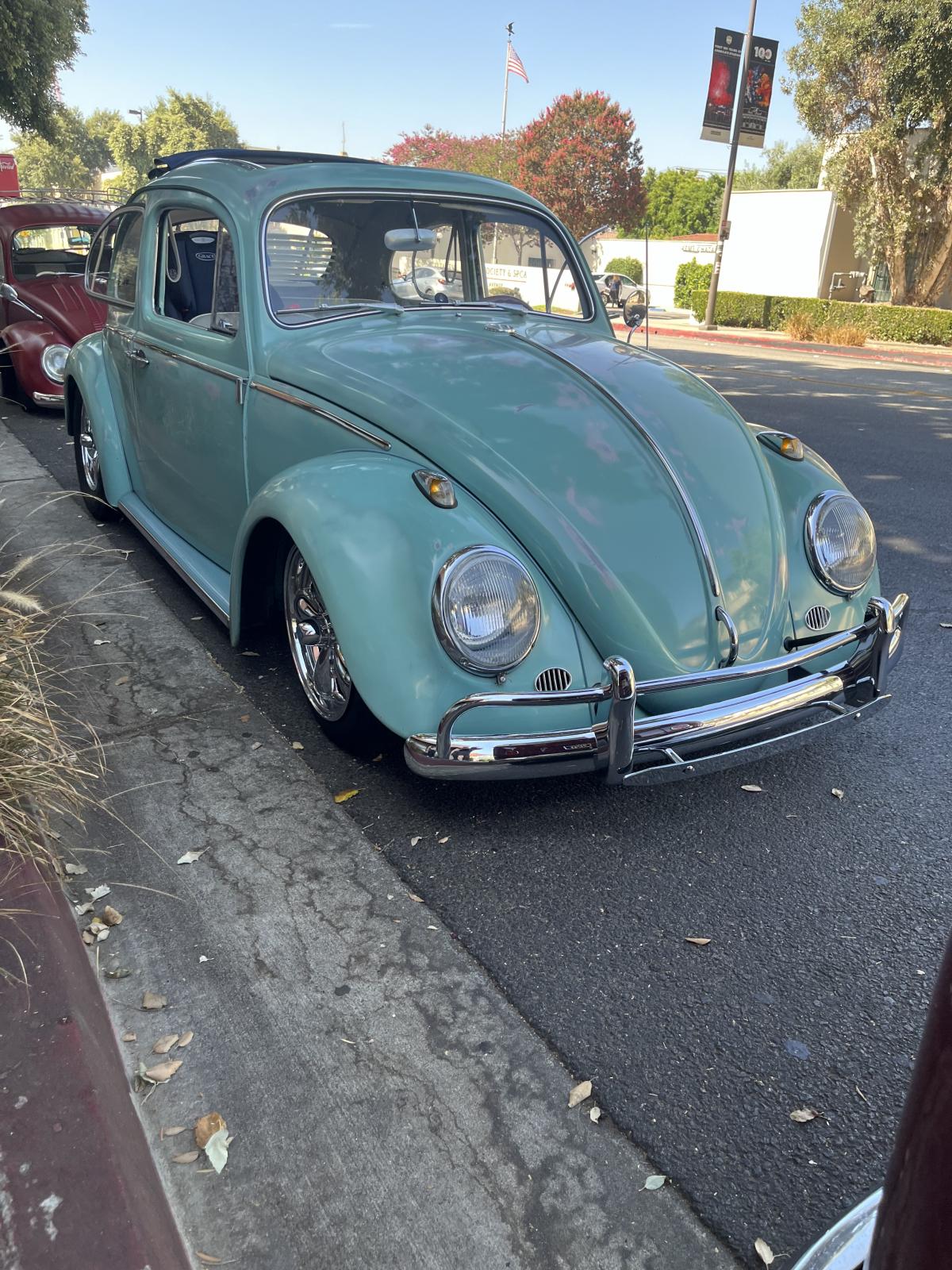 Image may have been reduced in size. Click image to view fullscreen.