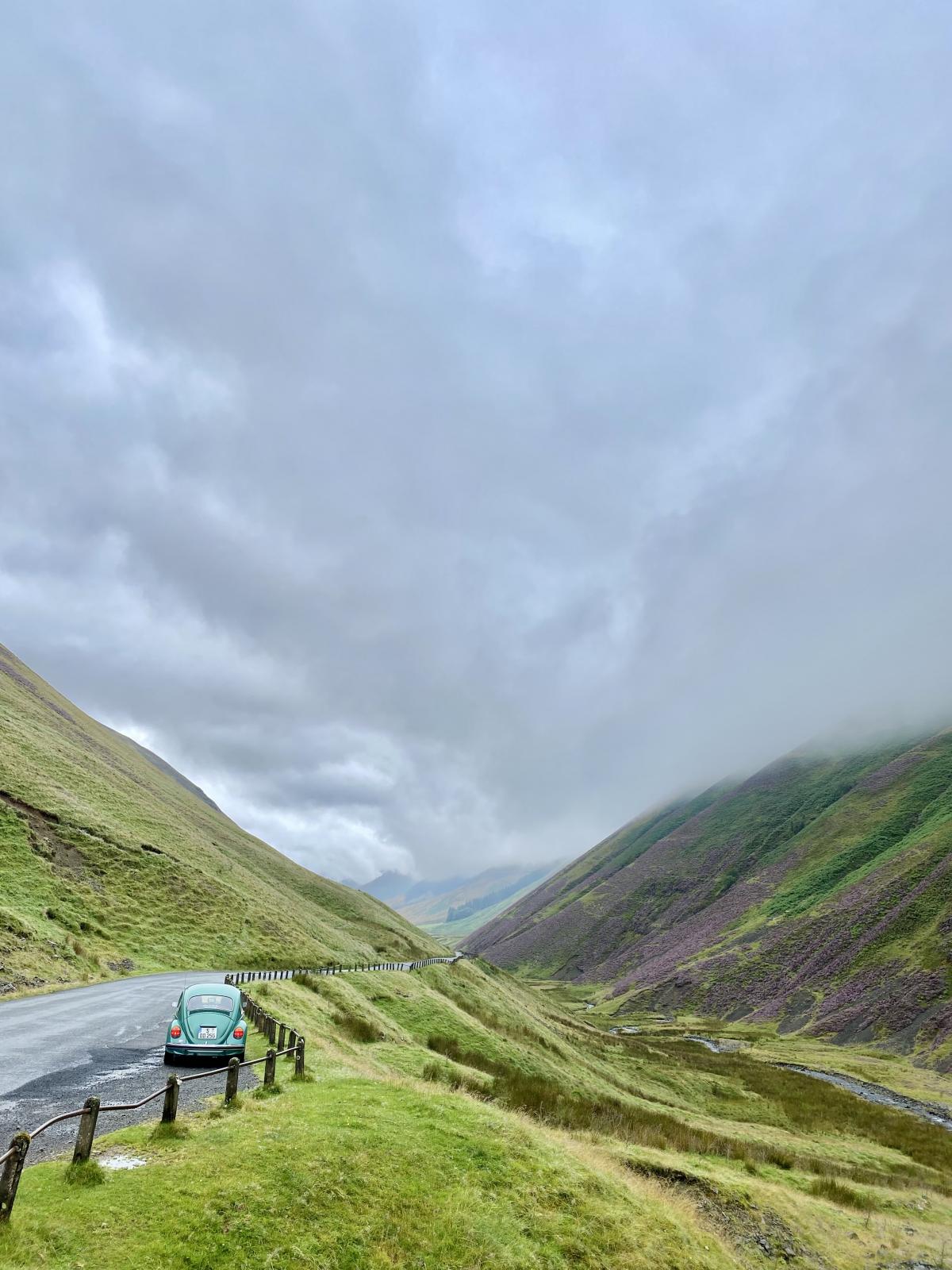 Image may have been reduced in size. Click image to view fullscreen.