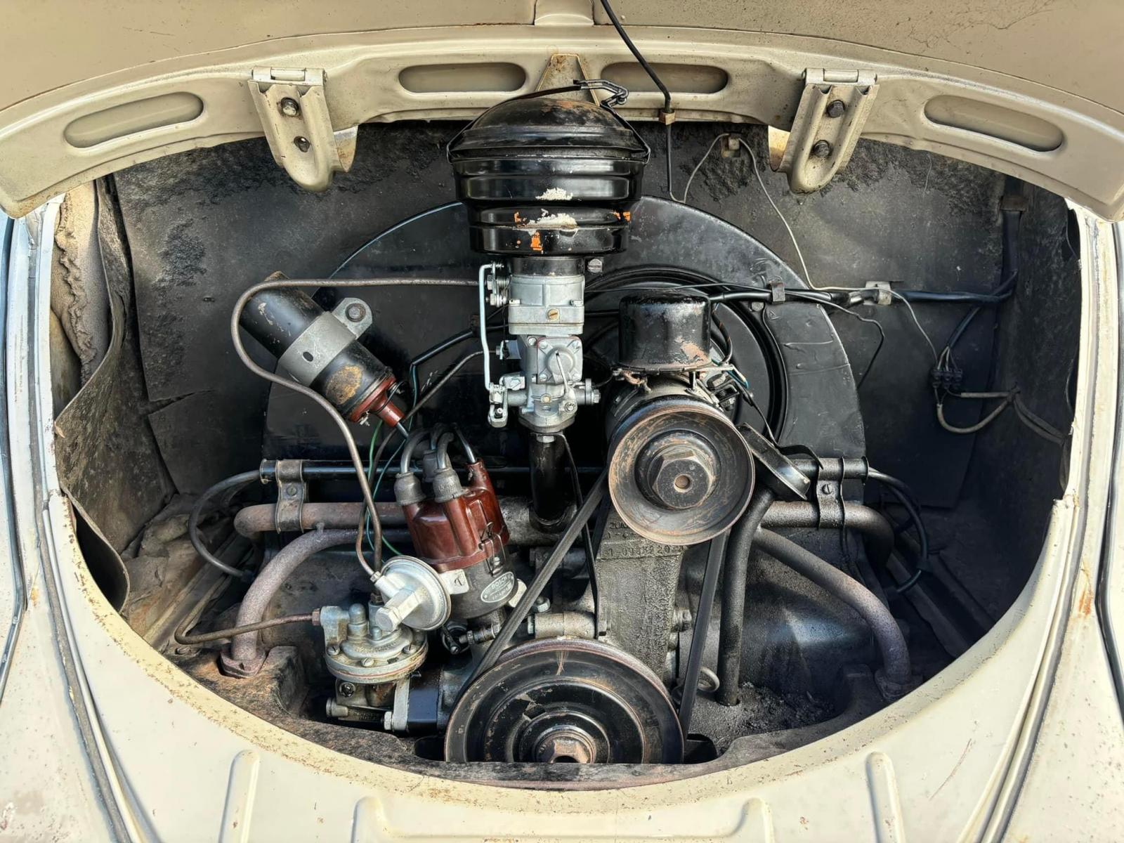 Image may have been reduced in size. Click image to view fullscreen.