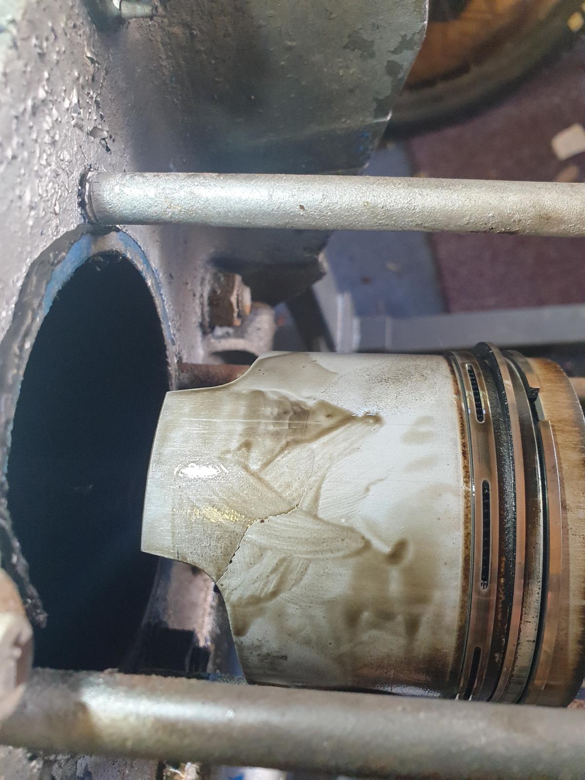 Image may have been reduced in size. Click image to view fullscreen.