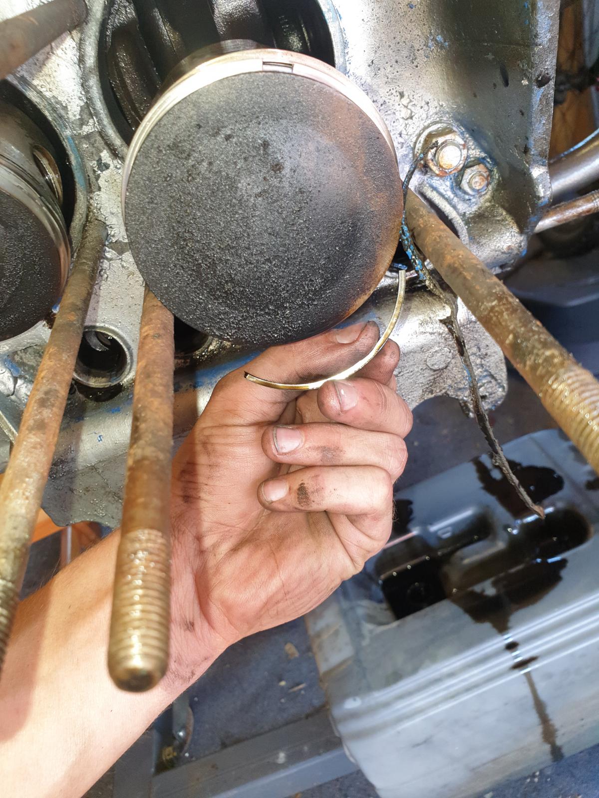 Image may have been reduced in size. Click image to view fullscreen.