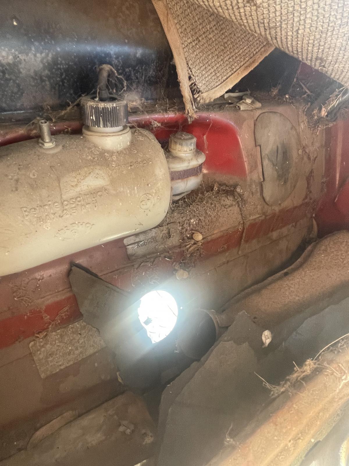 Image may have been reduced in size. Click image to view fullscreen.