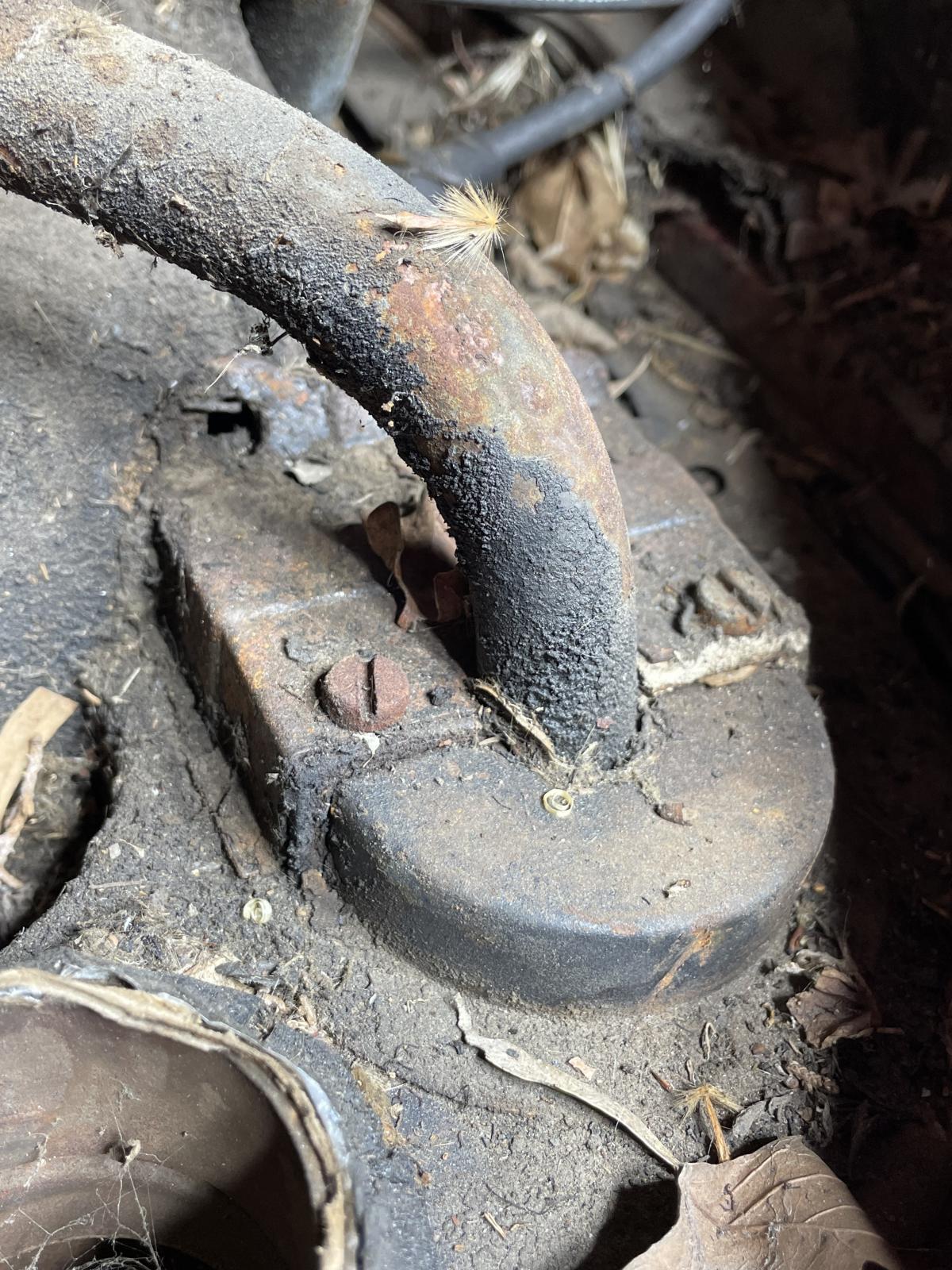 Image may have been reduced in size. Click image to view fullscreen.