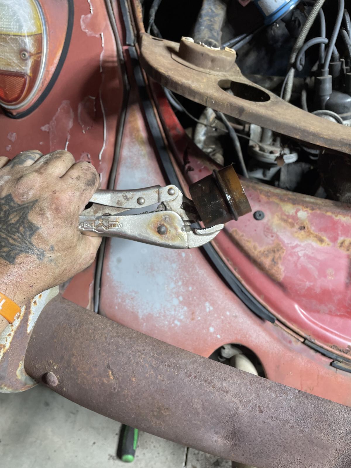 Image may have been reduced in size. Click image to view fullscreen.