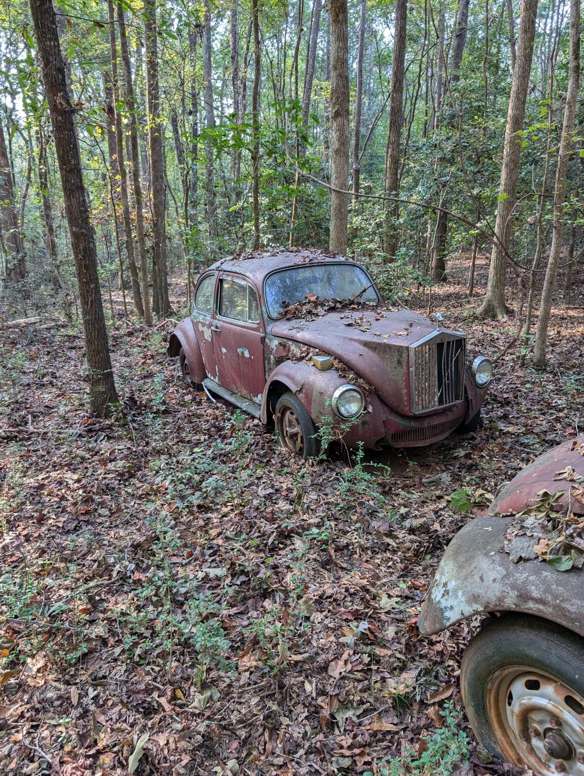 Image may have been reduced in size. Click image to view fullscreen.