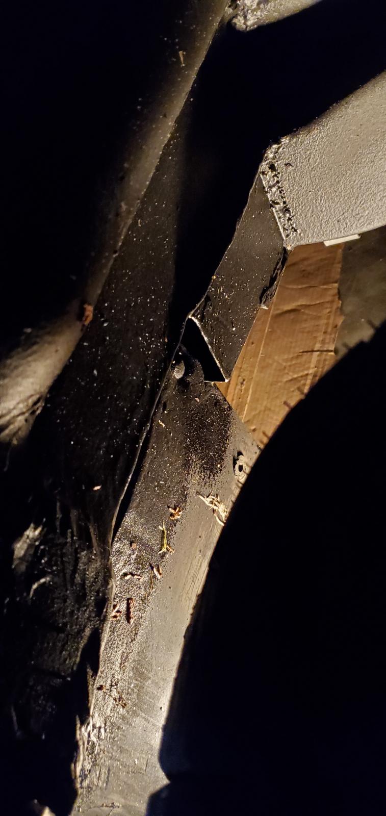 Image may have been reduced in size. Click image to view fullscreen.