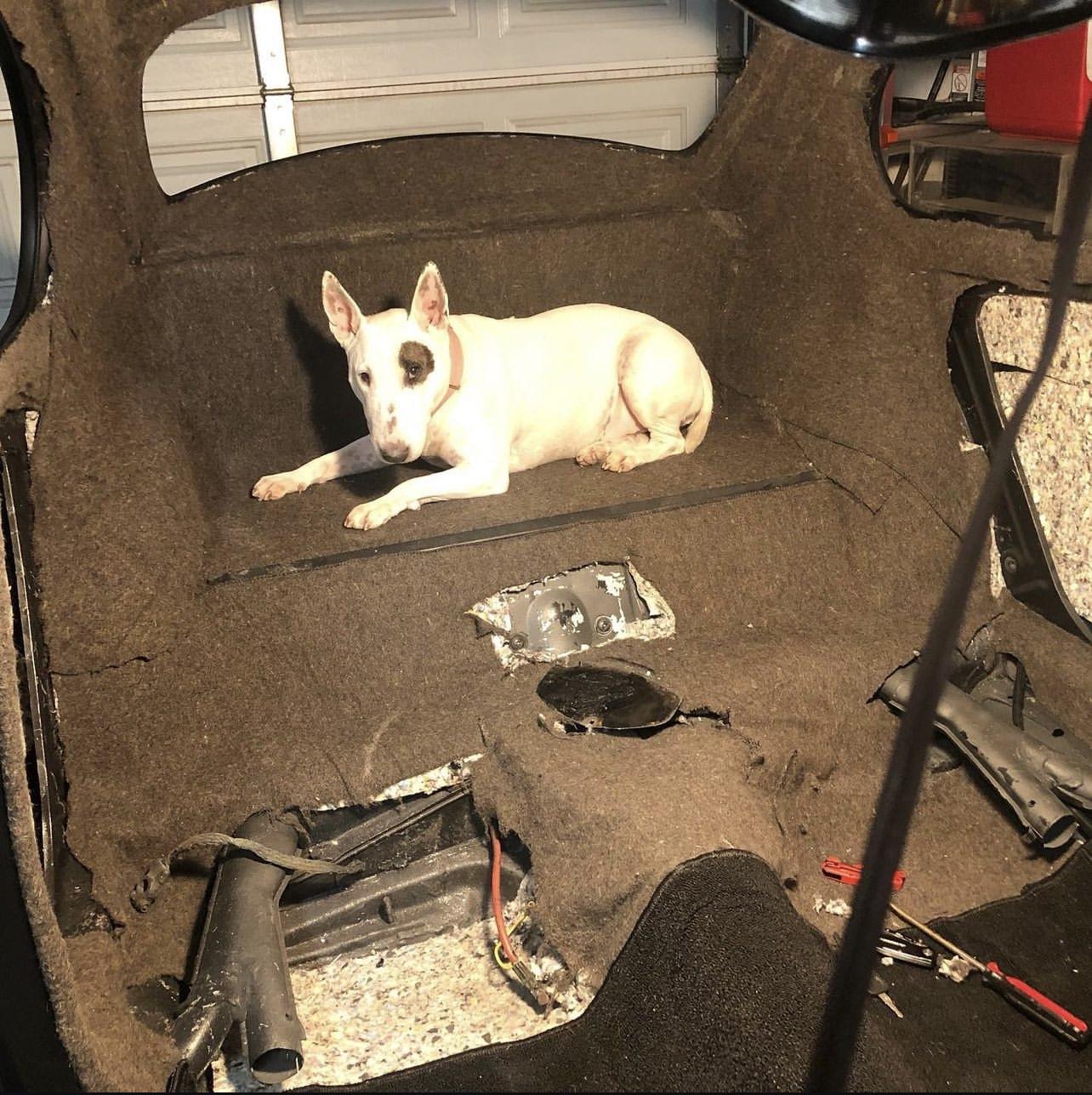Image may have been reduced in size. Click image to view fullscreen.