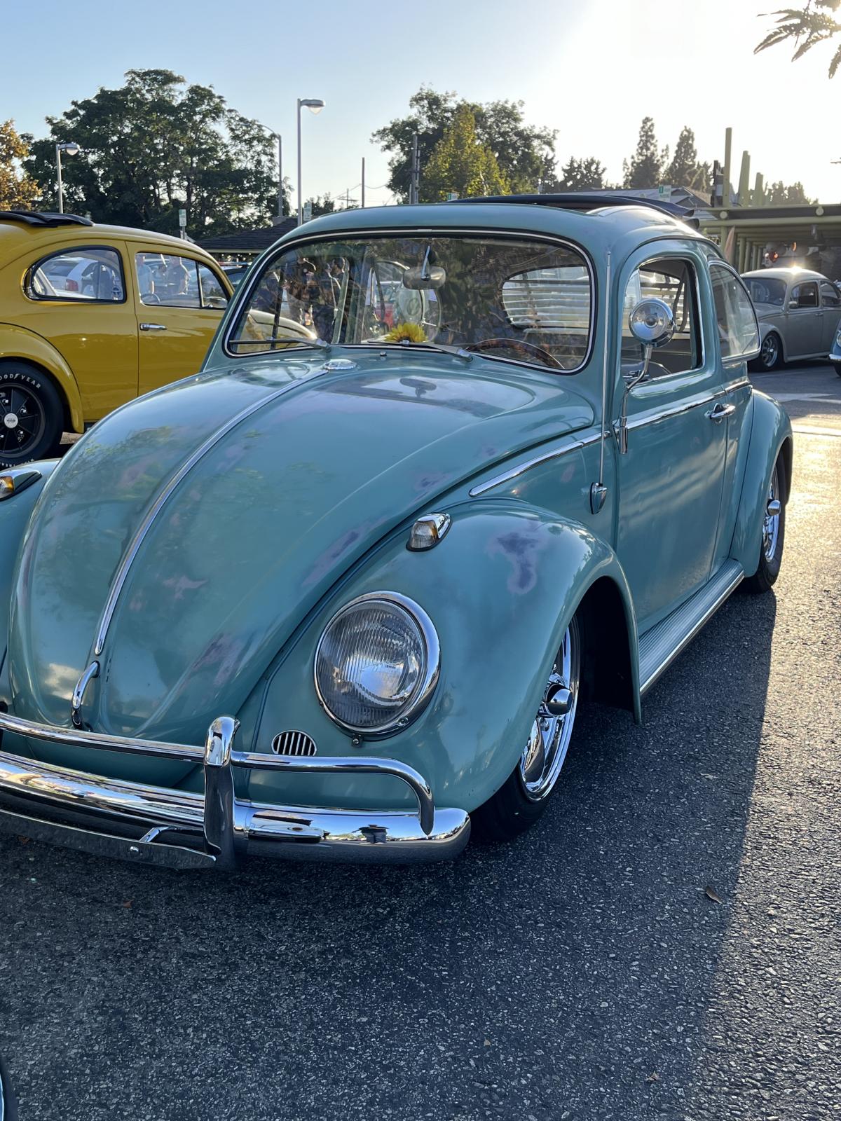 Image may have been reduced in size. Click image to view fullscreen.