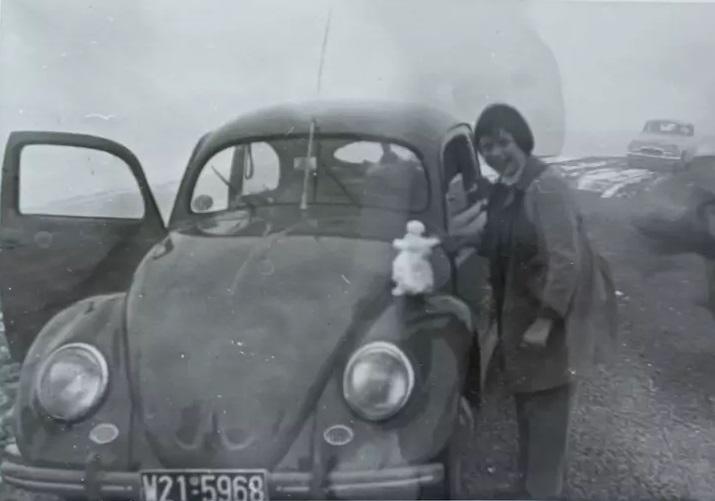 Image may have been reduced in size. Click image to view fullscreen.